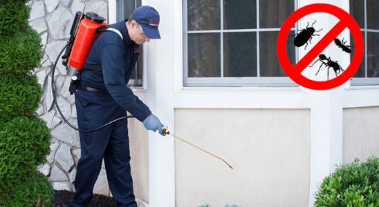 Kozan Bit İlaçlama böcek ilaçlama ve haşere kontrolü — ilaclama-tr.com